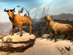 -陕西自然博物馆