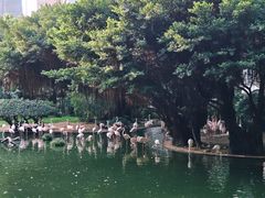 -九龙公园