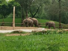 -北京野生动物园