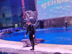 -华夏文旅海洋公园