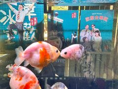 -華歡冰室-WahFoon(吉大店)