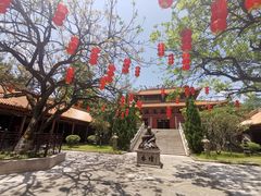 -三水森林公园