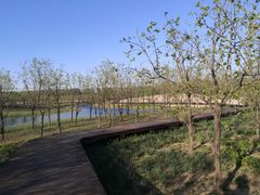 -东郊湿地公园