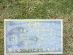 -建水文庙