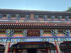 -东莞市大岭山森林公园