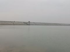 -菜园坝水果市场