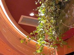 -巴奴毛肚火锅(龙湖锦艺城店)