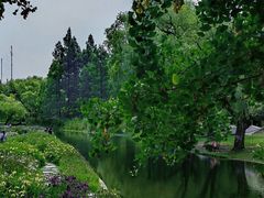 -上海共青森林公园