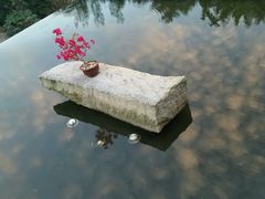 -厦门园林植物园-植物园滴水山房
