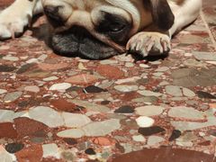 -仟吉(汉口新界店)