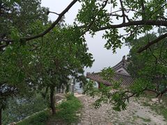 -北京鹫峰国家森林公园