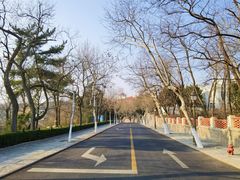 -八大关景区