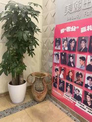 -美丽田园