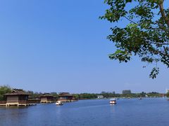 -杭州湾海上花田景区