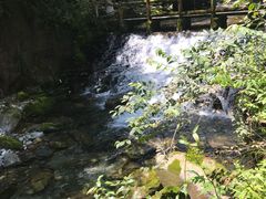 -神农架香溪源景区