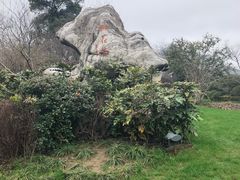 -桃花岛景观公园