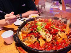 -老板恋上鱼(恒隆广场店)