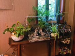 -莱蔻·圣灸堂·推拿艾灸(天山店)