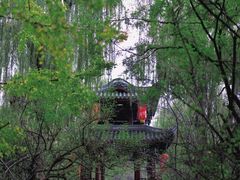 -棠湖公园