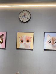 -洗脸猫·洗脸吧