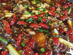 -西木兔(大圆祥店)