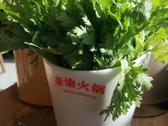 -豪渝火锅(宜昌水悦城店)