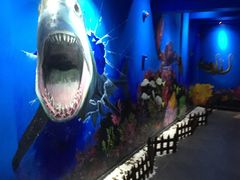 -船奇蒸汽海鲜·闽菜(八市海鲜总店)