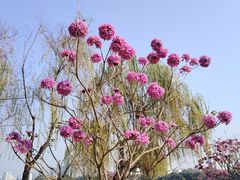 -南宁南湖公园