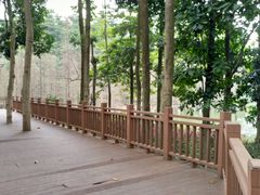 -广州市帽峰山景区
