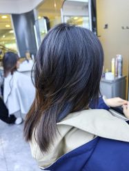 -藤野造型