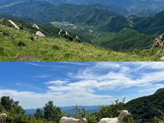 -白草畔自然风景区