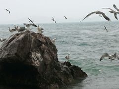 -海驴岛(荣成市)