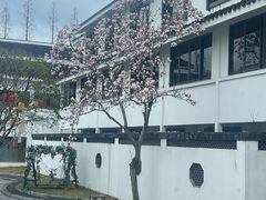 -远洲凤凰山庄臻味全日餐厅