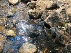 -碓臼峪自然风景区