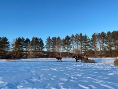 -北极村旅游风景区