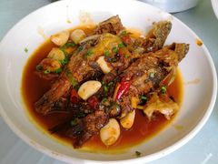 红烧昂子鱼-状元楼(金溪路店)