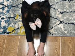 -舞研舞蹈培训(魏公村校区)