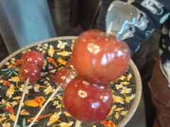 -羲和雅苑•北京烤鸭(平安国际金融中心店)