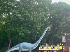-茅兰沟国家森林公园