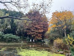 -杭州城北体育公园