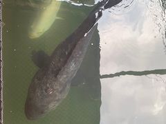 -蓝湾碧波·老字号·疍家非遗海上餐厅