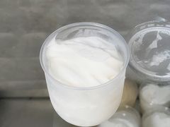 -洪馨椰子