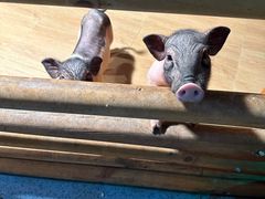 -梦幻海洋王国(吾悦广场张家港店)