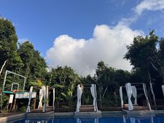 -三亚亚龙湾人间天堂鸟巢度假村