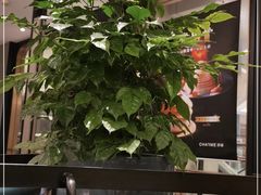-港丽餐厅(杭大店)