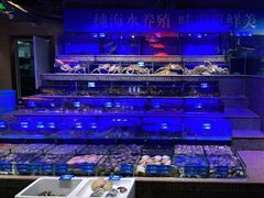 -青蓬蒸汽海鲜·深圳老字号·团建聚会(壹方城店)