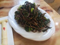 枸杞苗炒豆丝-苏莱特色牛骨滩羊手抓馆(长城东街总店)