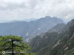 -黄牛肉馆·皖南土菜