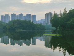 -重庆彩云湖湿地公园