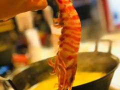 -鲜入围煮花胶鸡海鲜火锅